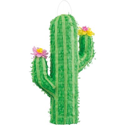 cactus pinata
