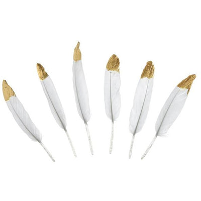 White and Gold Decorative Feathers